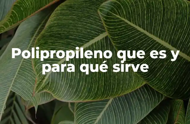 Características que lo distinguen del resto de plásticos