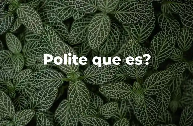 Polite que Es?