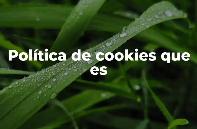 Cómo se relaciona la política de cookies con la privacidad digital