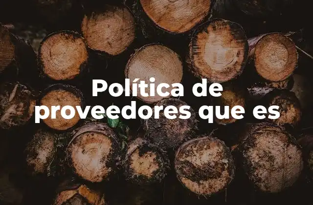 Política de Proveedores que es