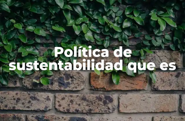 Política de Sustentabilidad que es