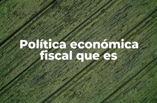 Política Económica Fiscal que es
