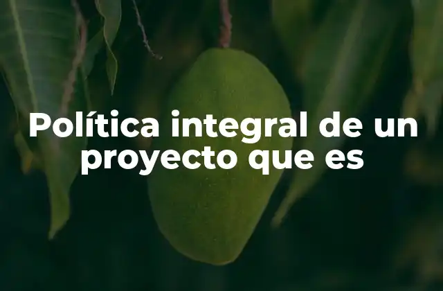 Política Integral de un Proyecto que es