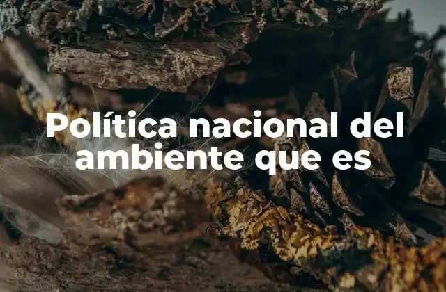 Política Nacional Del Ambiente que es