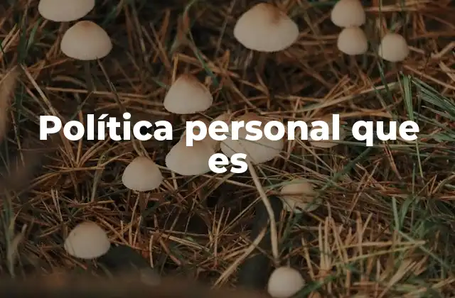 Política Personal que es