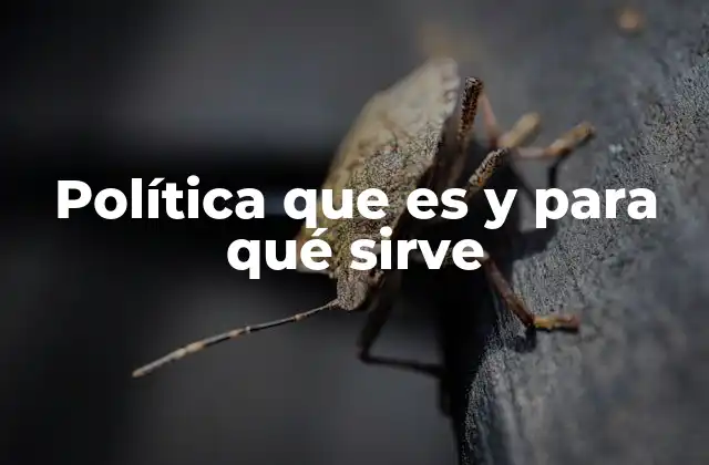 Política que es y para Qué Sirve