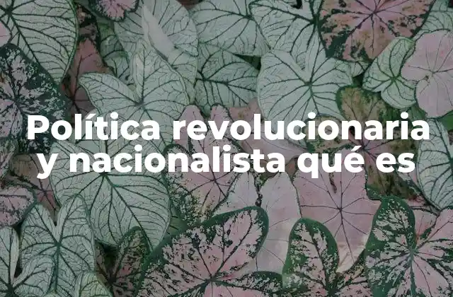 Política Revolucionaria y Nacionalista Qué es