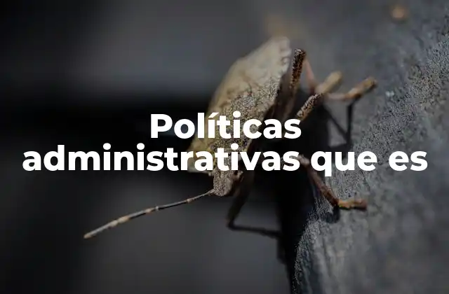 Políticas Administrativas que es
