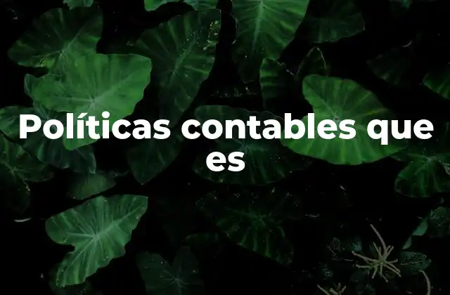 Políticas Contables que es