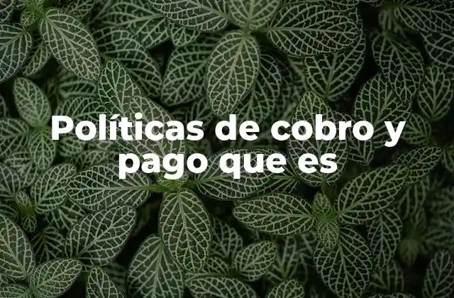 Políticas de Cobro y Pago que es