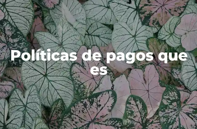 Políticas de Pagos que es