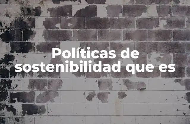 El papel de las políticas de sostenibilidad en el desarrollo económico