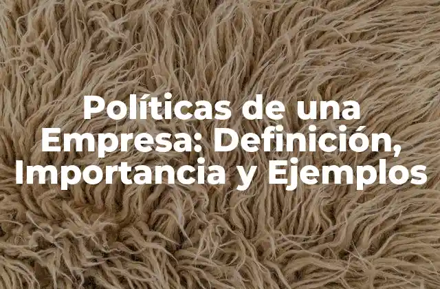 Políticas de una Empresa: Definición, Importancia y Ejemplos