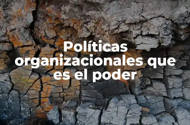Políticas Organizacionales que es el Poder