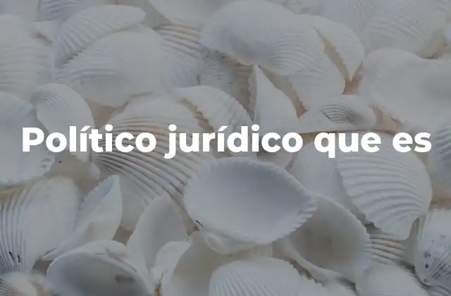 Político Jurídico que es
