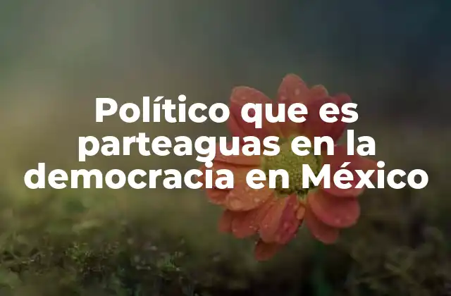 Político que es Parteaguas en la Democracia en México 2 La transición democrática y el surgimiento de nuevos actores políticos