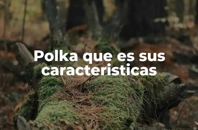 Polka que es Sus Caracteristicas 2 Origen y evolución de la polka como expresión musical y social