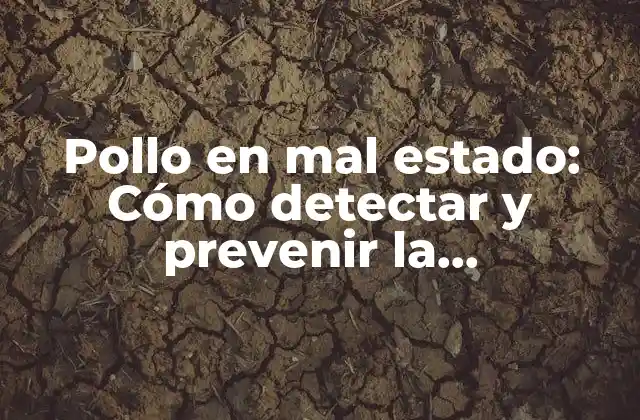 Pollo en Mal Estado: Cómo Detectar y Prevenir la Contaminación de Alimentos