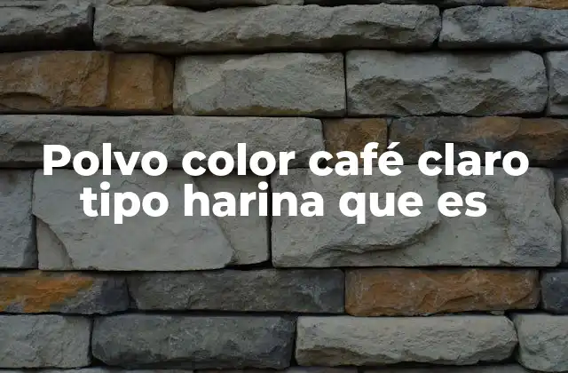 Características del polvo color café claro tipo harina