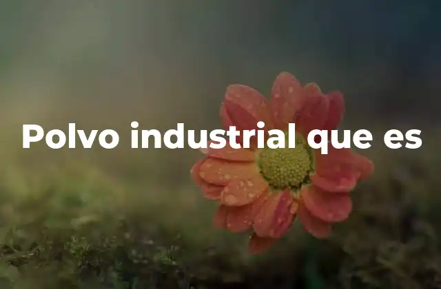 Tipos de polvo industrial y su impacto ambiental