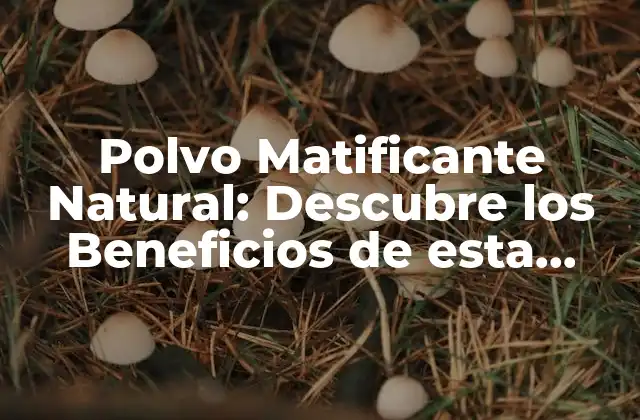 Polvo Matificante Natural: Descubre los Beneficios de Esta Alternativa Saludable
