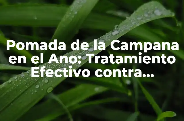 Pomada de la Campana en el Ano: Tratamiento Efectivo contra Hemorroides y Fisuras