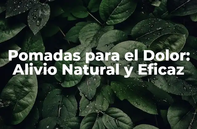 Pomadas para el Dolor: Alivio Natural y Eficaz