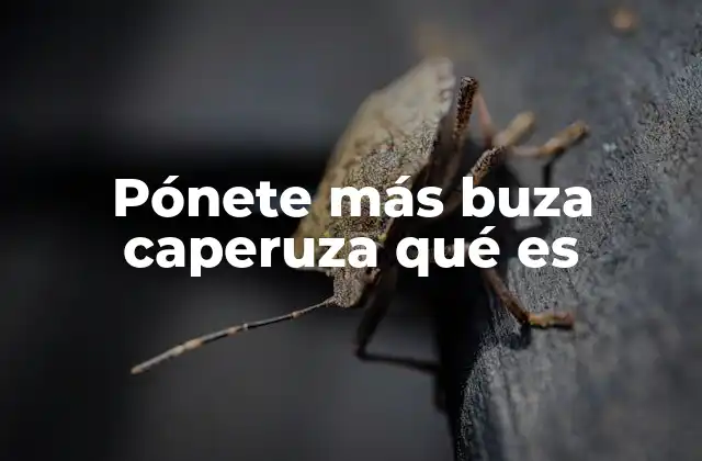 Pónete Más Buza Caperuza Qué es