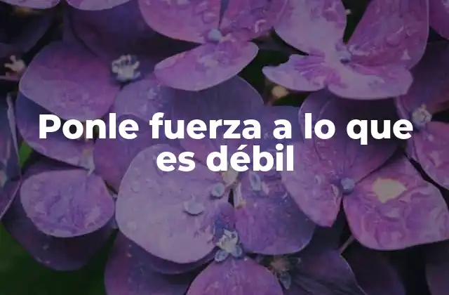 Ponle Fuerza a Lo que es Débil 2 La importancia de reforzar lo frágil en la vida cotidiana