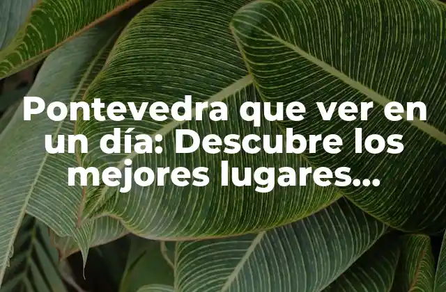 Pontevedra que Ver en un Día: Descubre los Mejores Lugares Turísticos