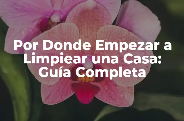 Por Donde Empezar a Limpiear una Casa: Guía Completa