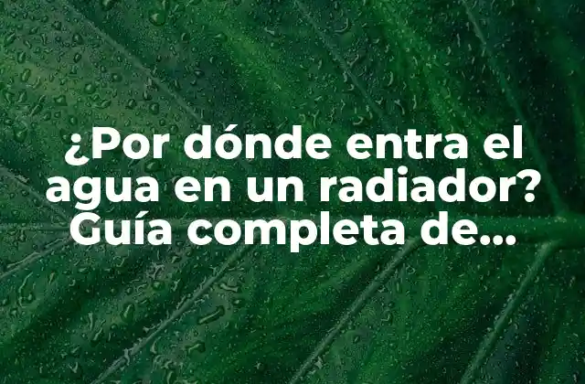 ¿por Dónde Entra el Agua en un Radiador? Guía Completa de Funcionamiento