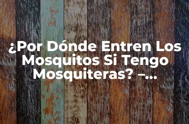 ¿por Dónde Entren los Mosquitos Si Tengo Mosquiteras? – Soluciones y Consejos