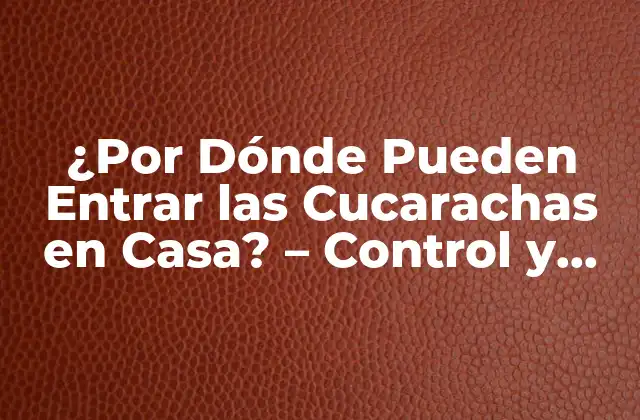 ¿por Dónde Pueden Entrar las Cucarachas en Casa? – Control y Prevención