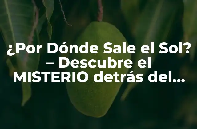 ¿por Dónde Sale el Sol? – Descubre el Misterio Detrás Del Amanecer