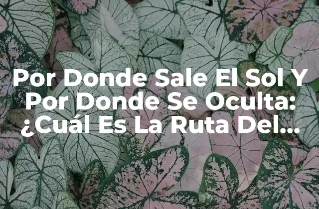 Por Donde Sale el Sol y por Donde Se Oculta: ¿cuál es la Ruta Del Sol en el Cielo?