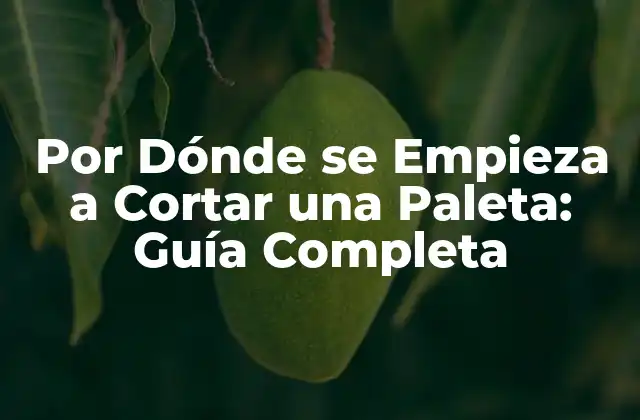 Por Dónde Se Empieza a Cortar una Paleta: Guía Completa