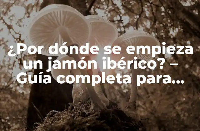 ¿por Dónde Se Empieza un Jamón Ibérico? – Guía Completa para Disfrutar Del Auténtico Sabor