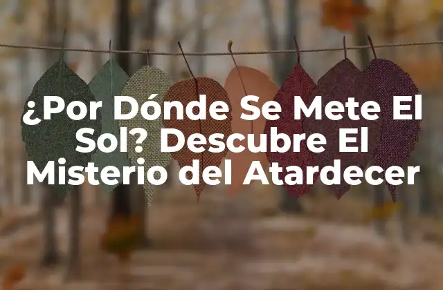 ¿por Dónde Se Mete el Sol? Descubre el Misterio Del Atardecer