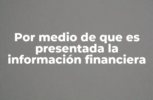 Por Medio de que es Presentada la Información Financiera