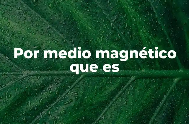 Por Medio Magnético que es