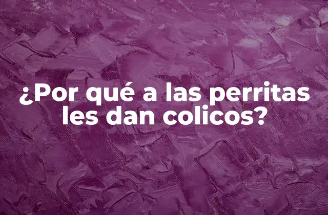 ¿Qué son los colicos en perritas?