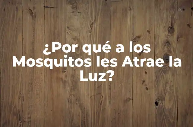 ¿por Qué a los Mosquitos Les Atrae la Luz?