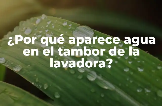¿por Qué Aparece Agua en el Tambor de la Lavadora?
