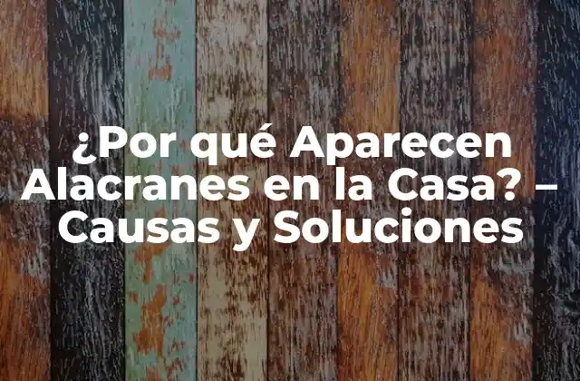 ¿por Qué Aparecen Alacranes en la Casa? – Causas y Soluciones