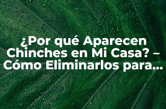¿por Qué Aparecen Chinches en Mi Casa? – Cómo Eliminarlos para Siempre