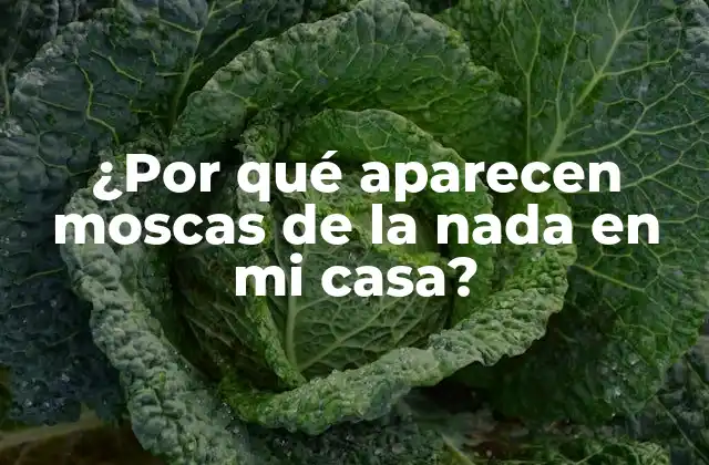 ¿por Qué Aparecen Moscas de la Nada en Mi Casa?