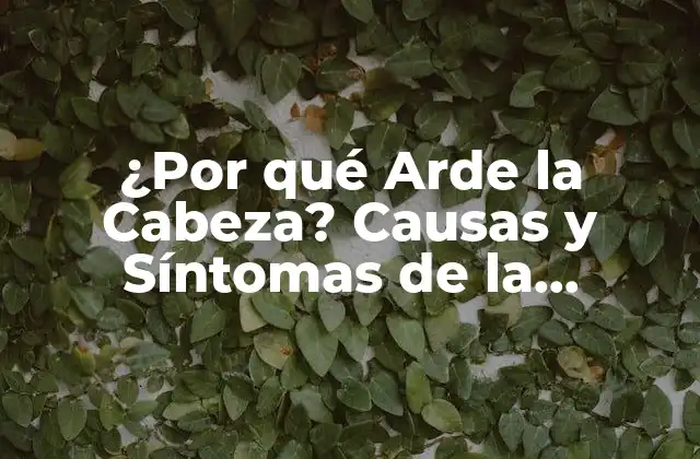 ¿por Qué Arde la Cabeza? Causas y Síntomas de la Sensación de Ardor en la Cabeza