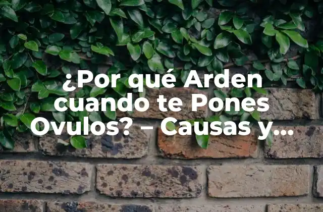 ¿por Qué Arden Cuando Te Pones Ovulos? – Causas y Soluciones