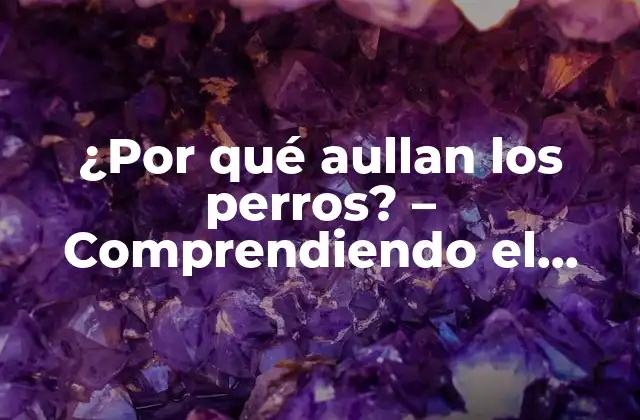 ¿por Qué Aullan los Perros? – Comprendiendo el Lenguaje Canino